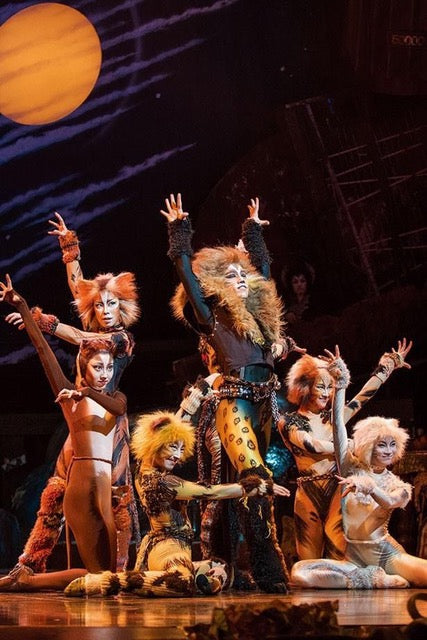 Summer Dance Camp: Jazz Cats Broadway (Jul 27-31)